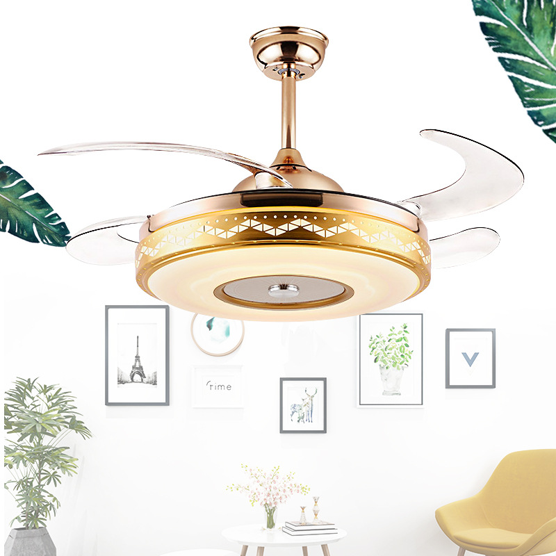 Customizable Fan Light from Chinese Manufacturer