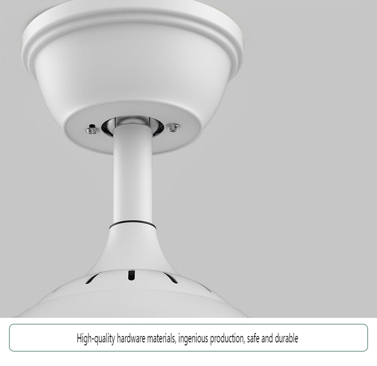 Variable Frequency LED Ceiling Fan Light