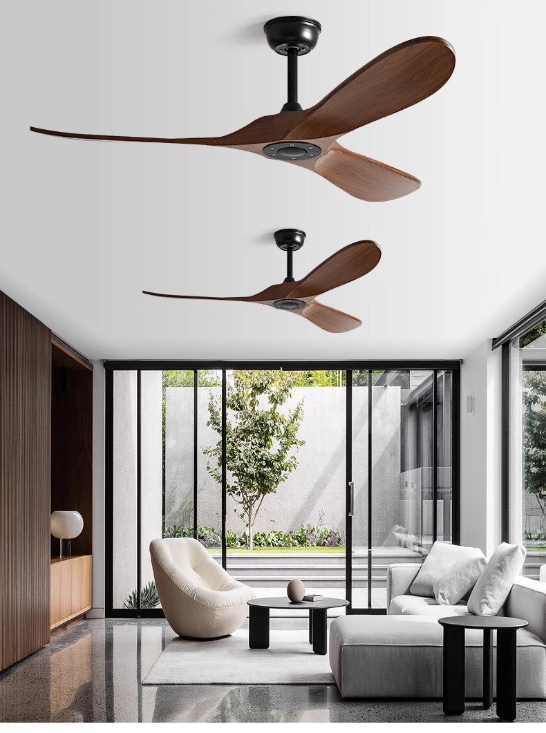 Modern Ceiling Fan