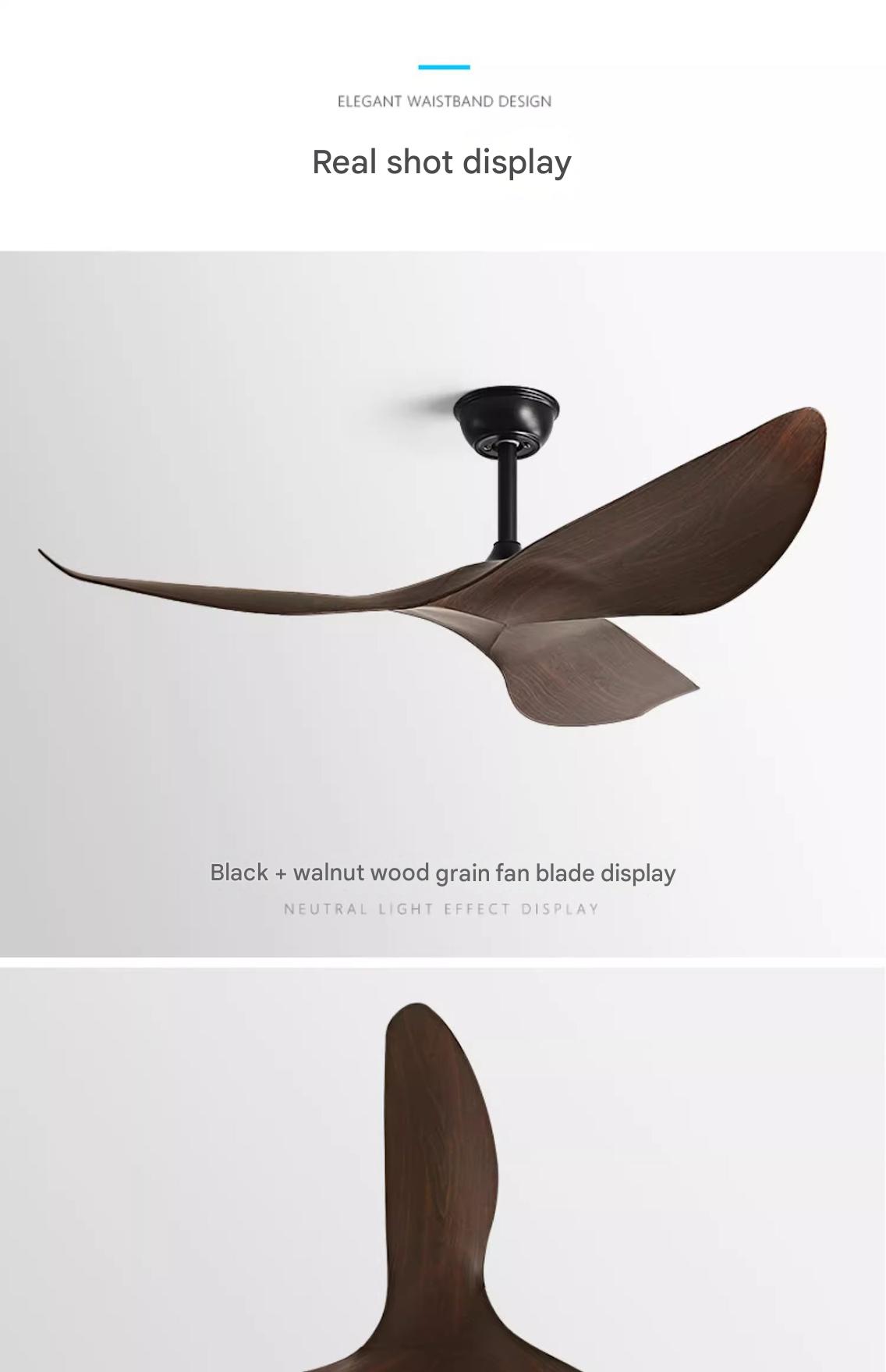 Enclosed Blade Fan
