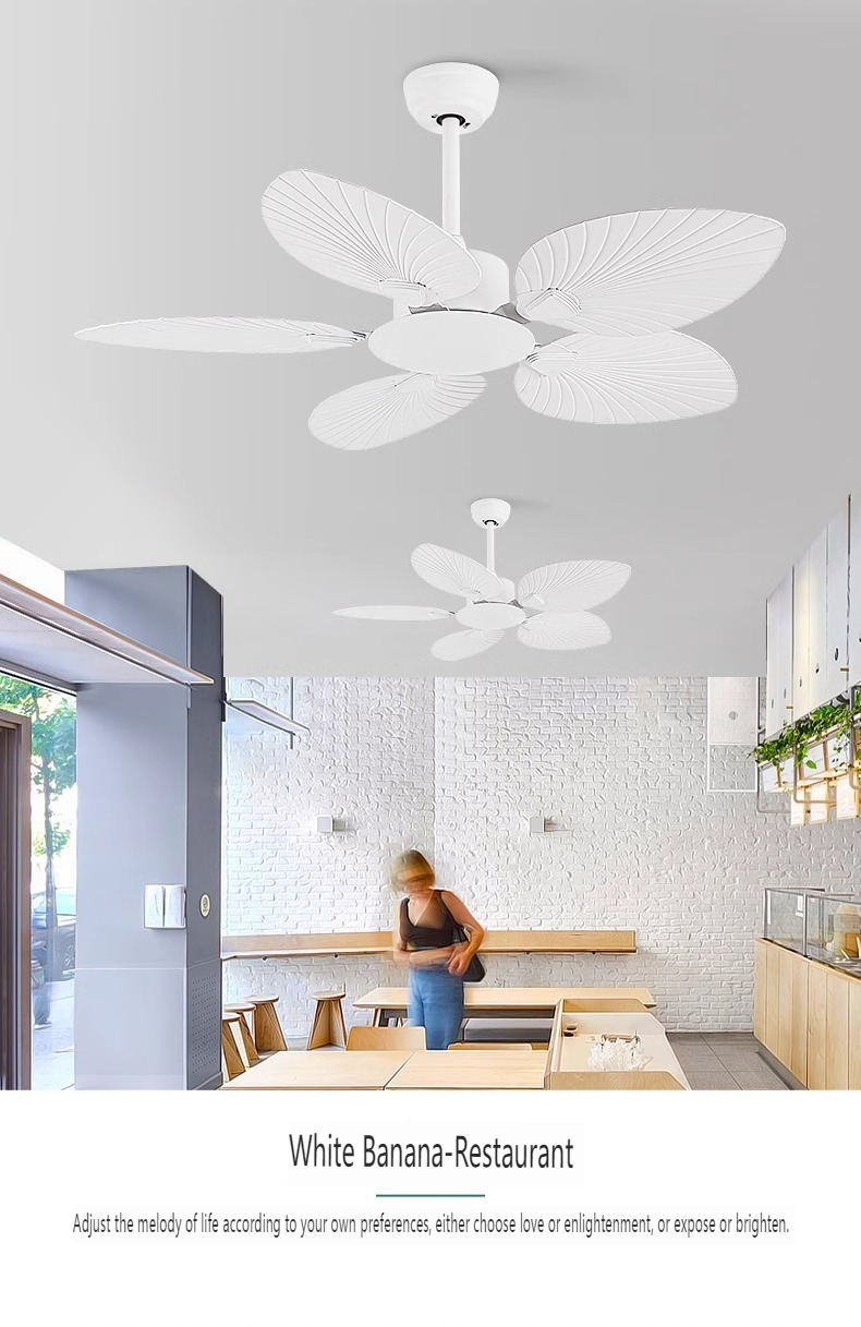 Ceiling Fan with LED Light