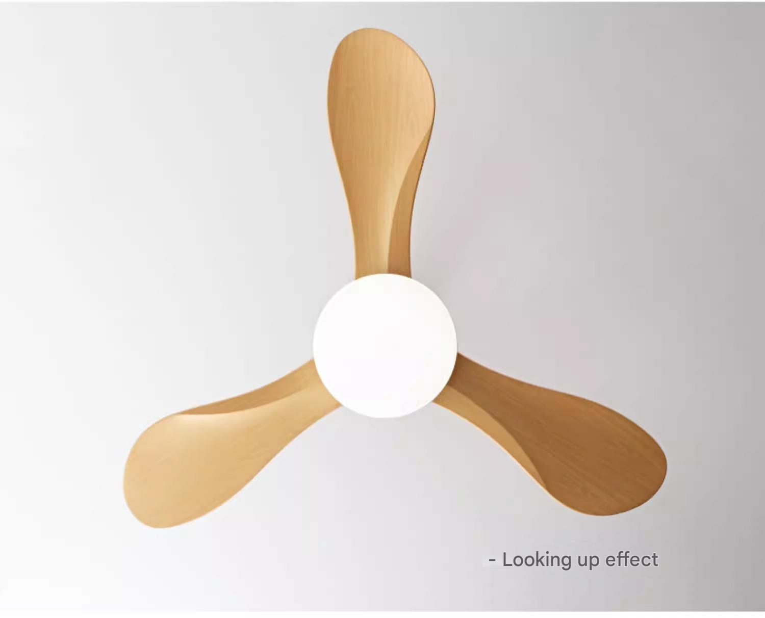 China Ceiling Fan Factory