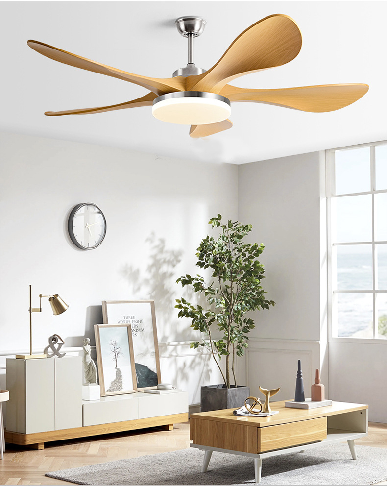 Smart DC Ceiling Fan