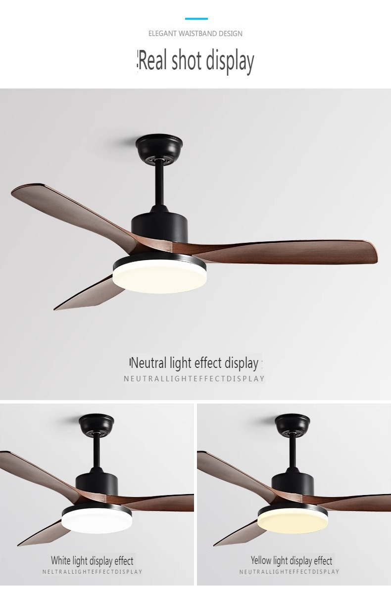 Modern Ceiling Fan Design