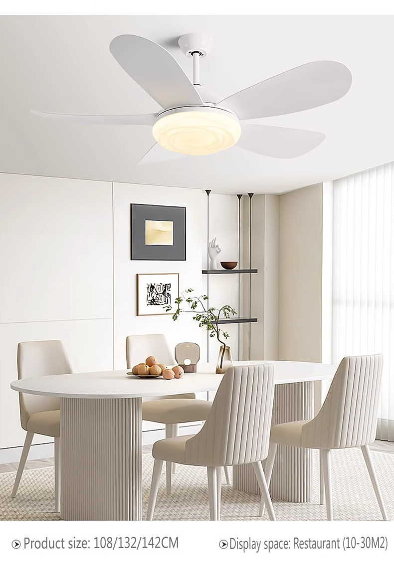 Bulk Ceiling Fan Supplier