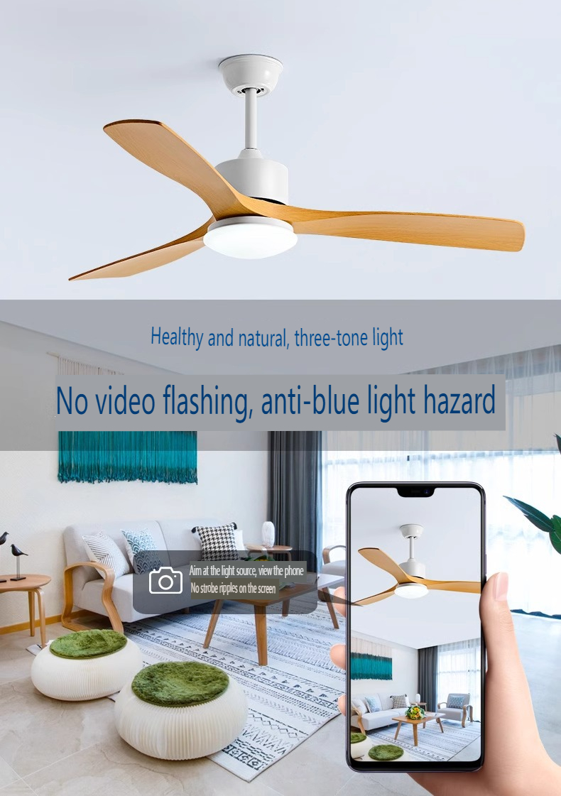 DC Motor Outdoor Ceiling Fan Producer