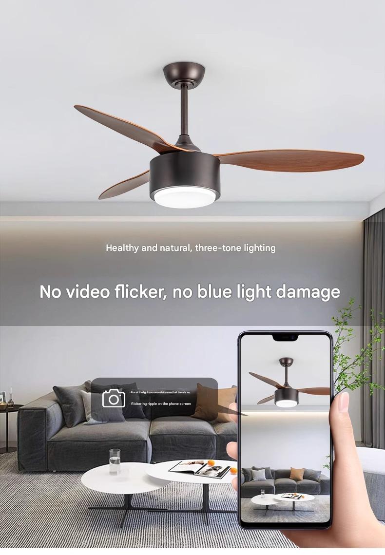 Low Decibel Ceiling Fan
