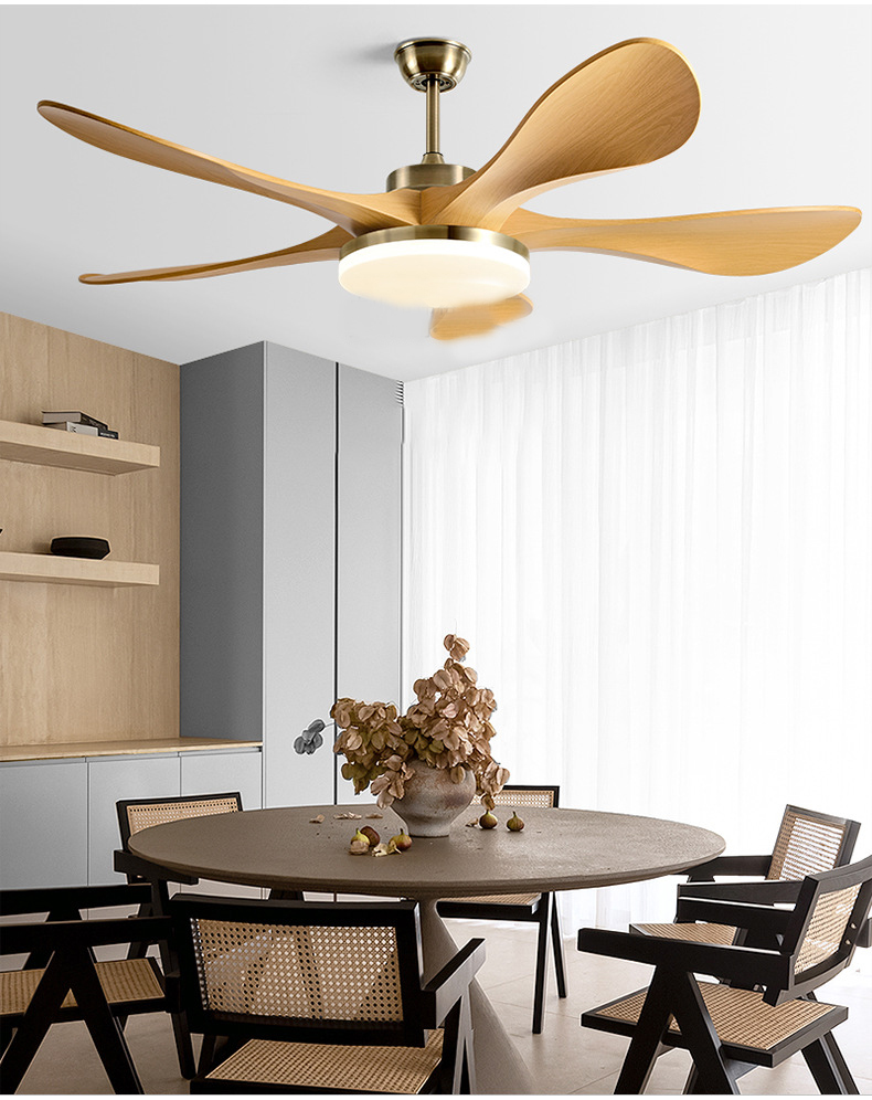 Smart DC Ceiling Fan
