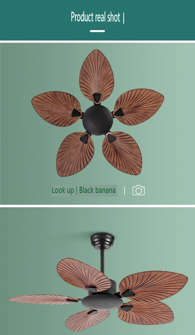 Modern Ceiling Fan Supplier