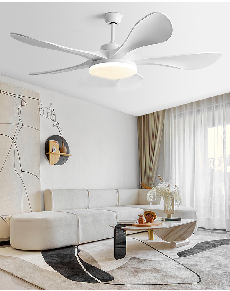 Smart DC Ceiling Fan