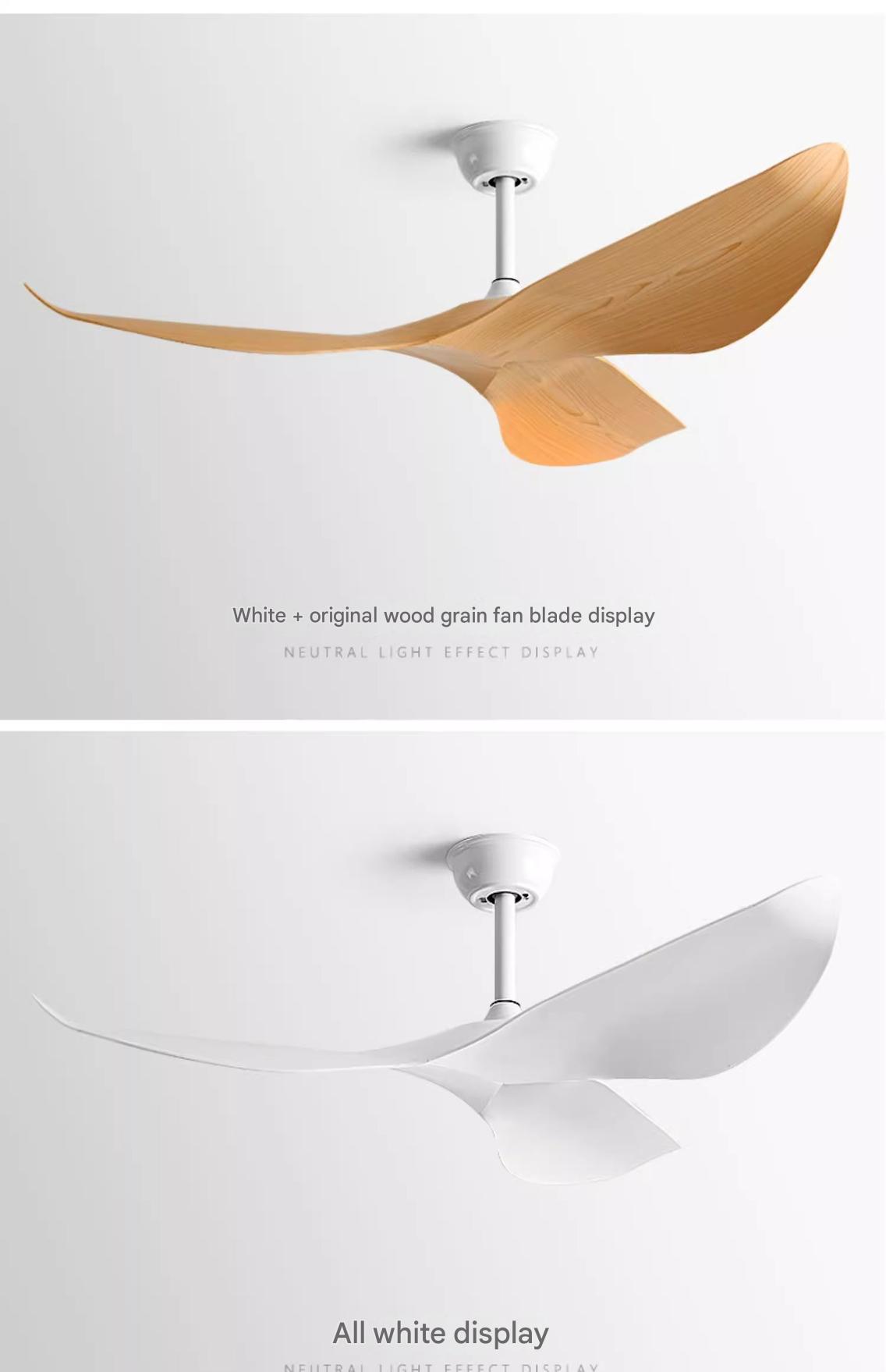 Finger-Proof Ceiling Fan