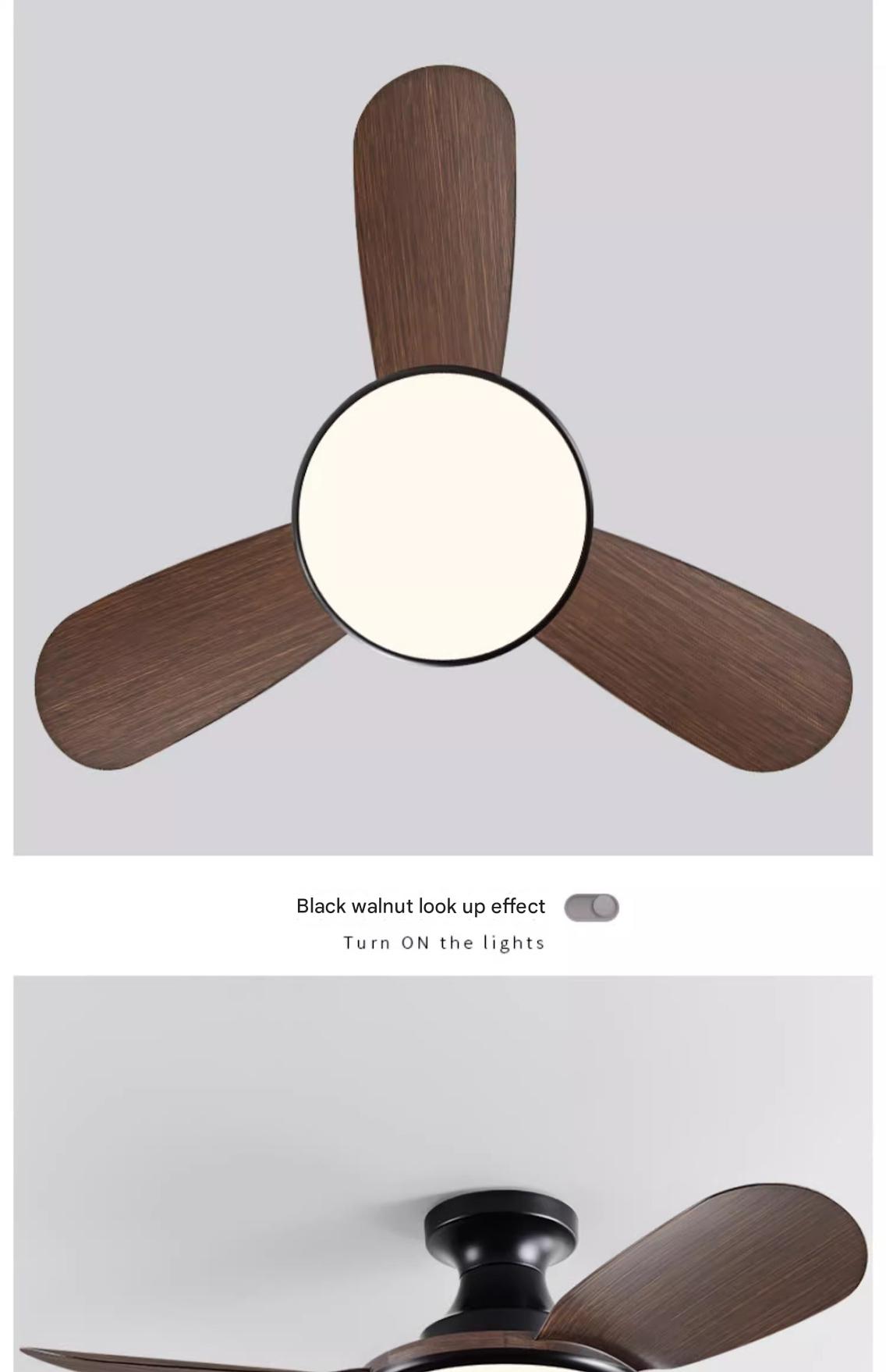 Modern Style Bedroom Fan