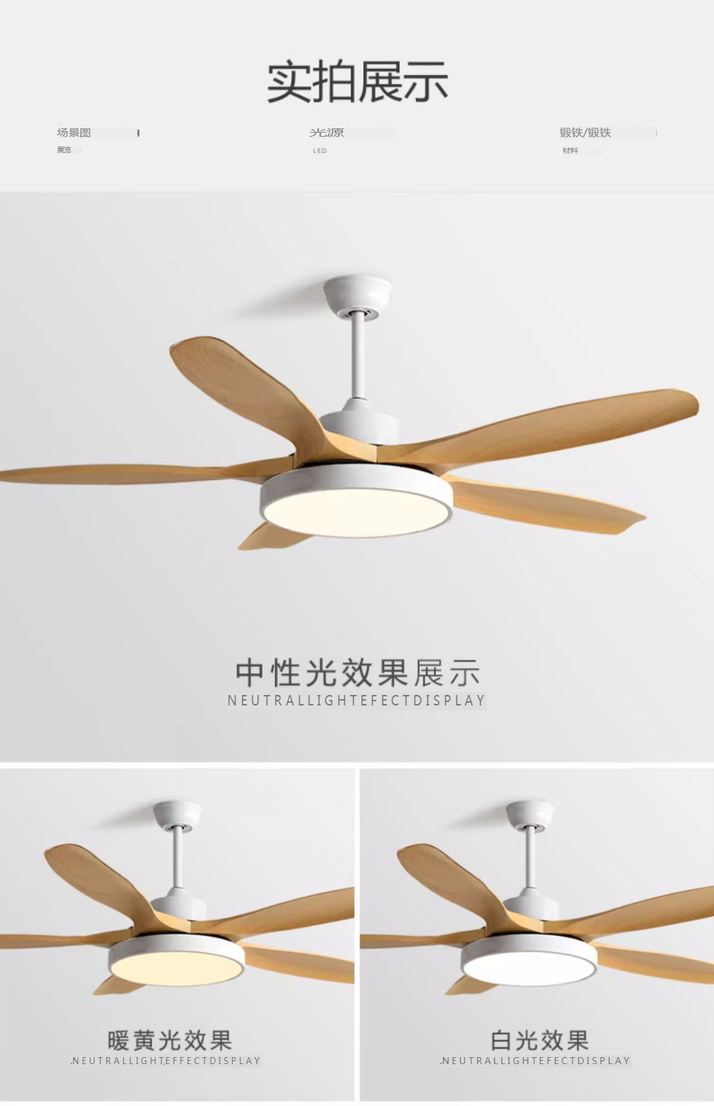 New Importer Ceiling Fan Supplier