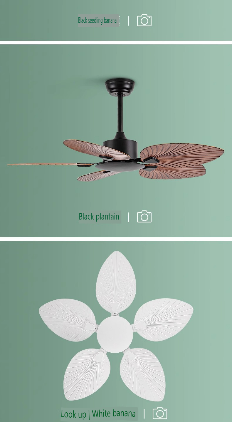 Modern Ceiling Fan Supplier