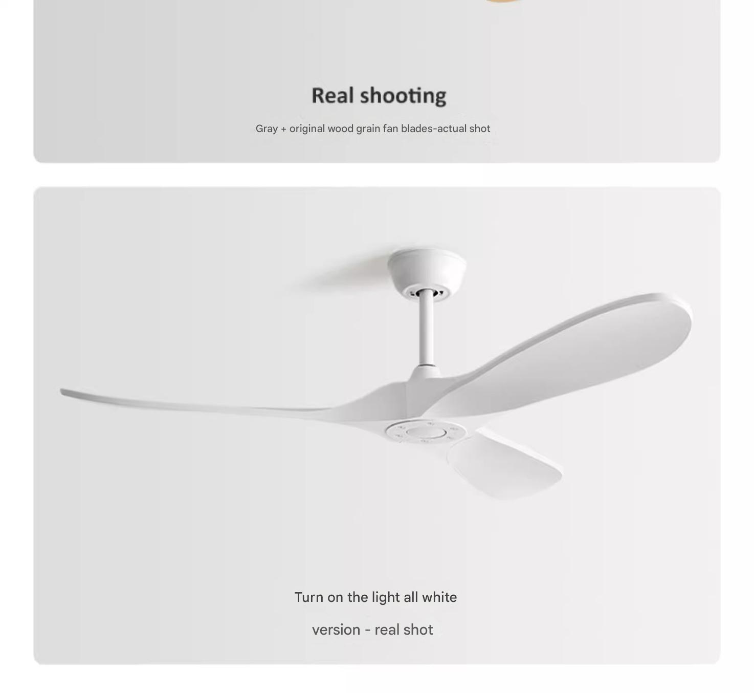 ODM Ceiling Fan
