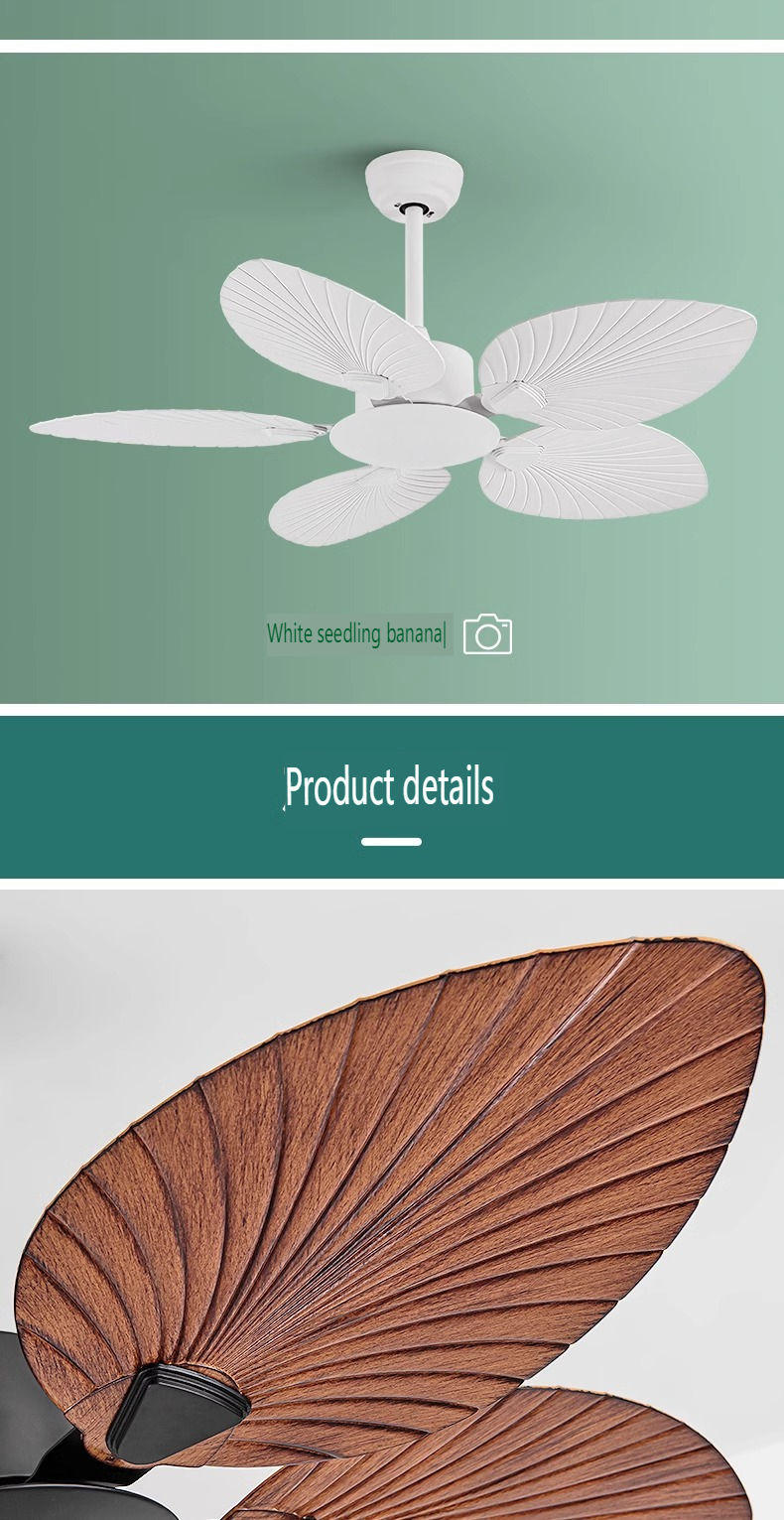 Modern Ceiling Fan Supplier