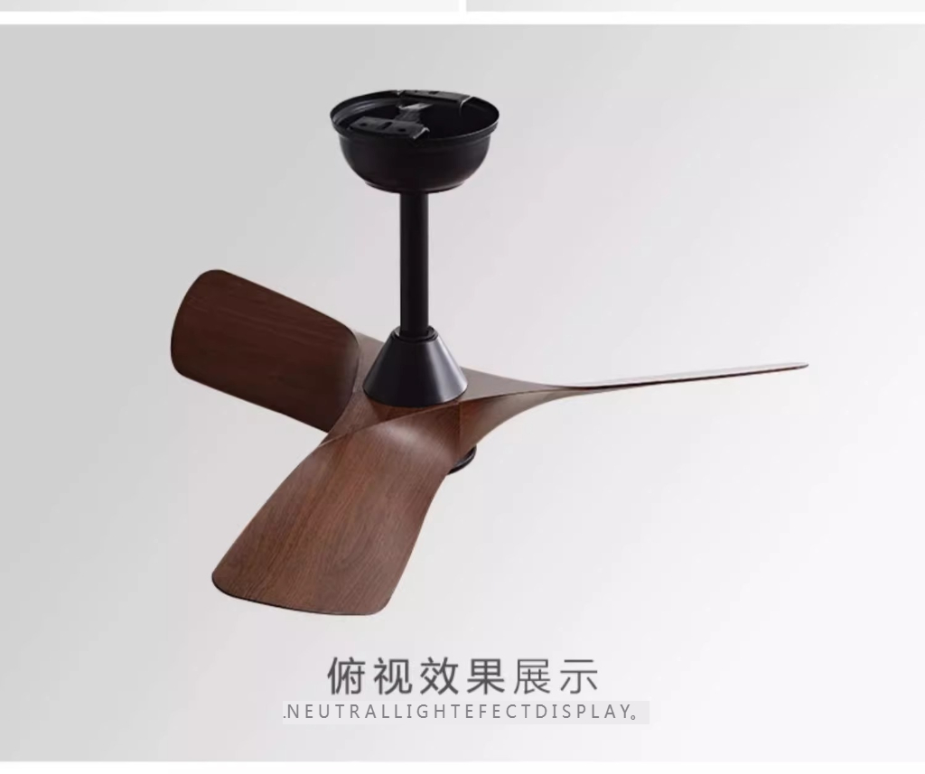 Modern Smart Ceiling Fan