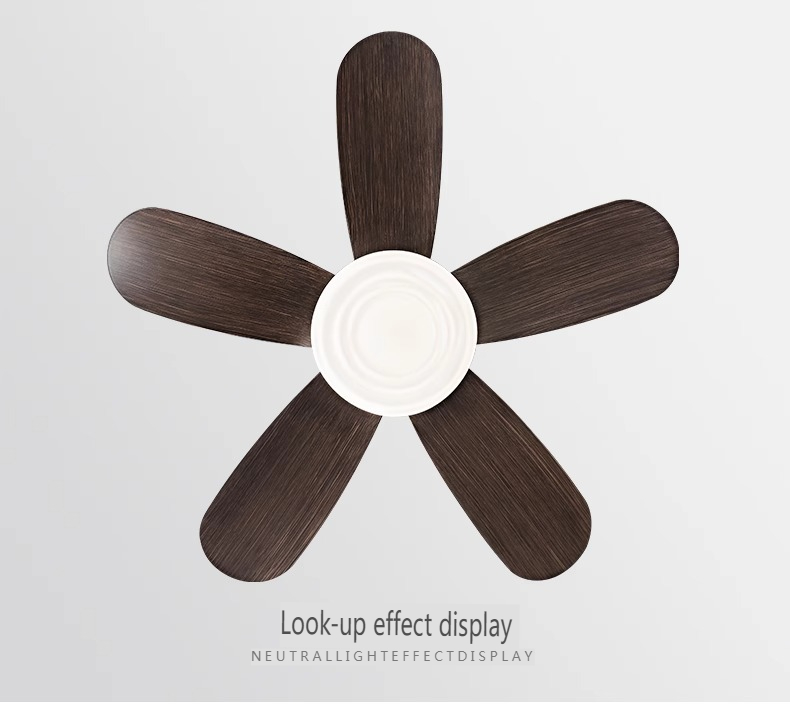 Commercial Ceiling Fan Factory