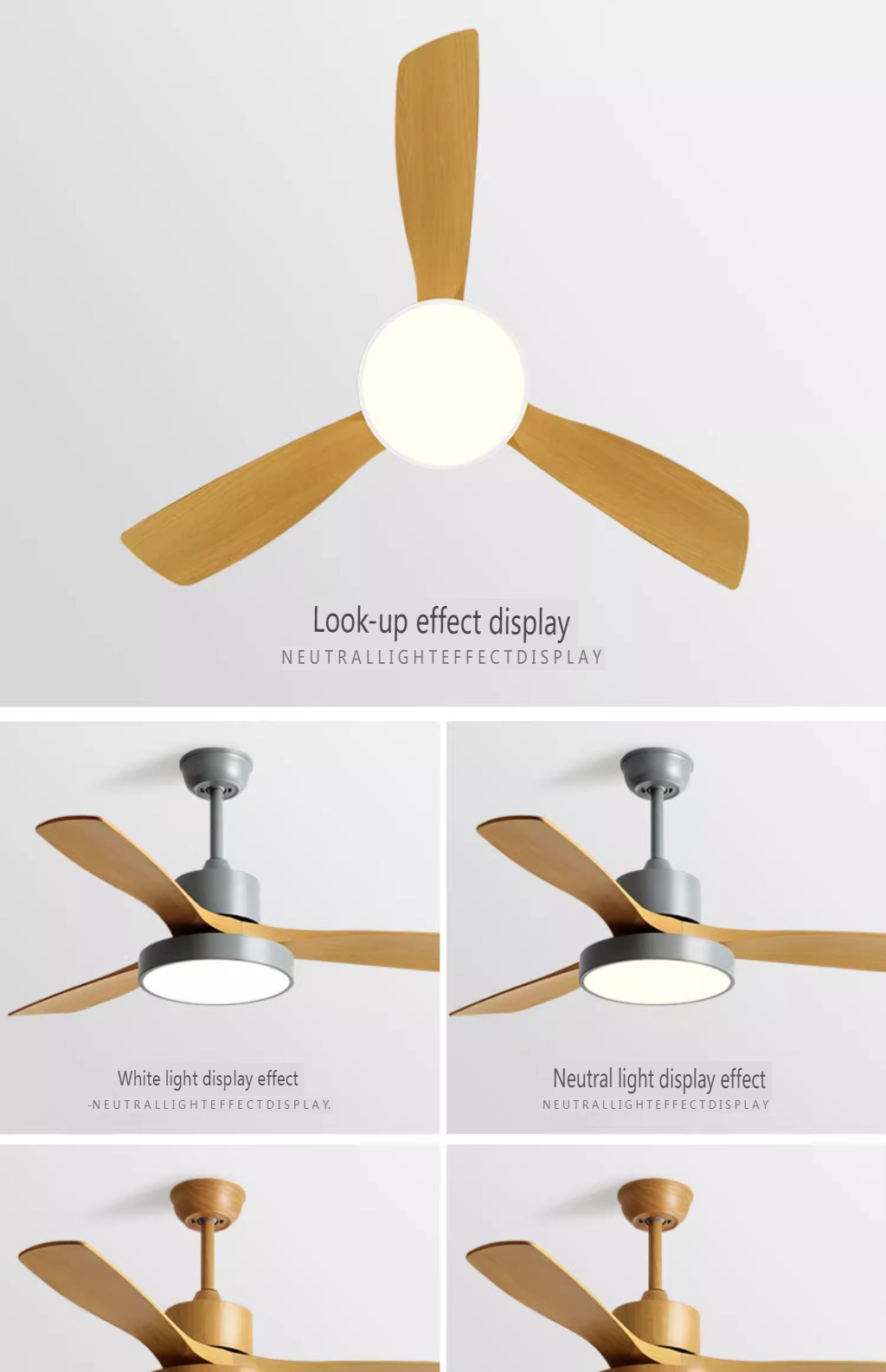 Modern Ceiling Fan Supplier
