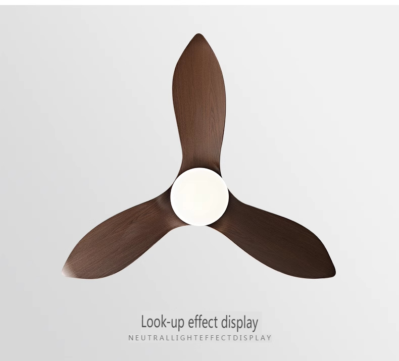 Modern Smart Fan with Light Manufacturer