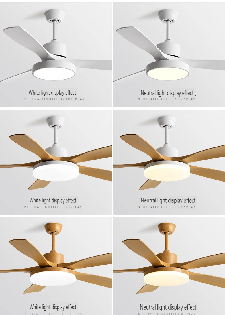 Modern Ceiling Fan Supplier