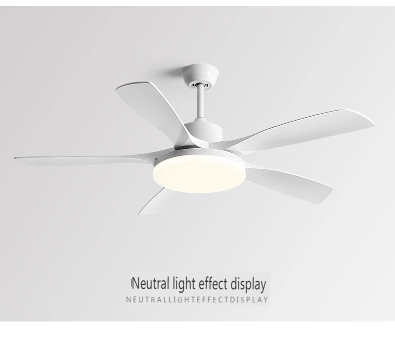 Commercial-Grade Ceiling Fan Supplier