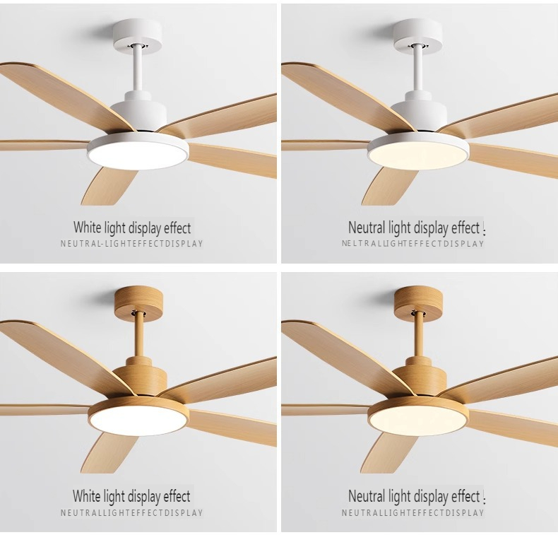CE Certified Fan Manufacturer