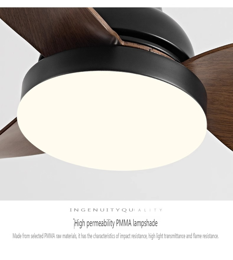 Whisper Quiet Fan with Light