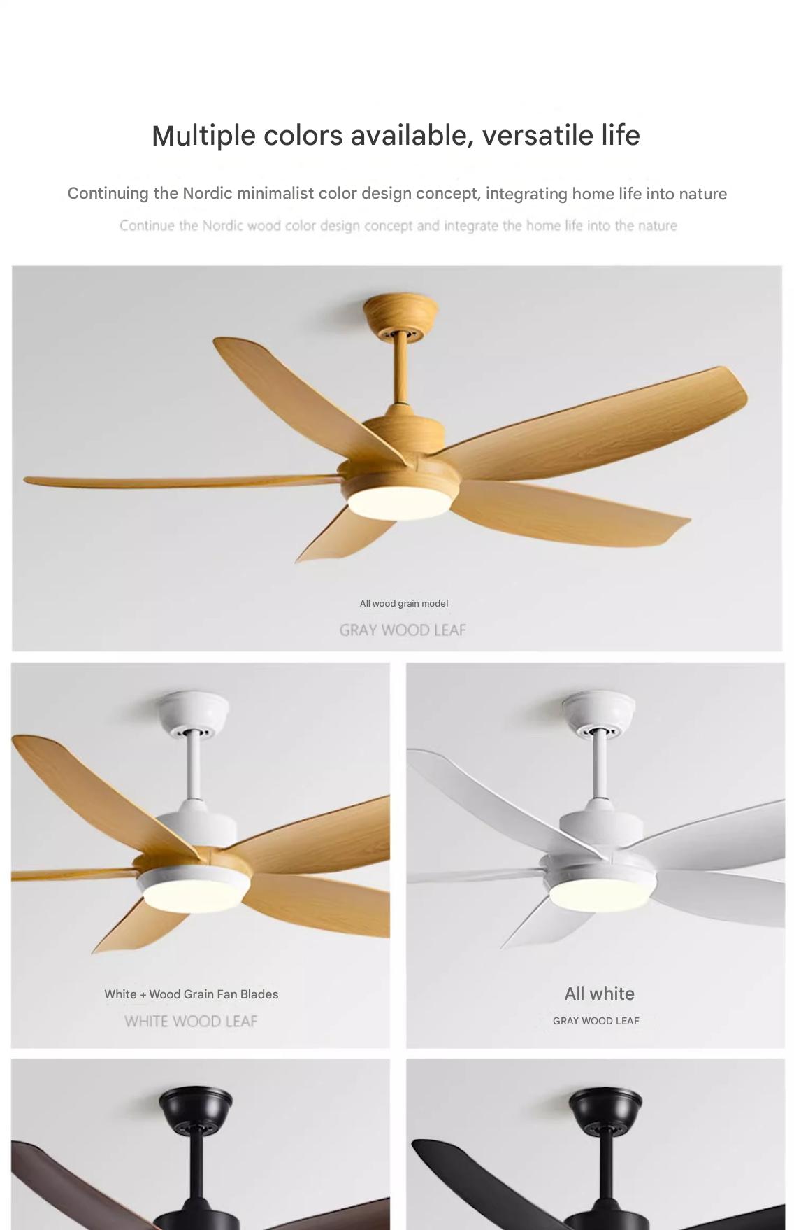 Luxury Ceiling Fans
