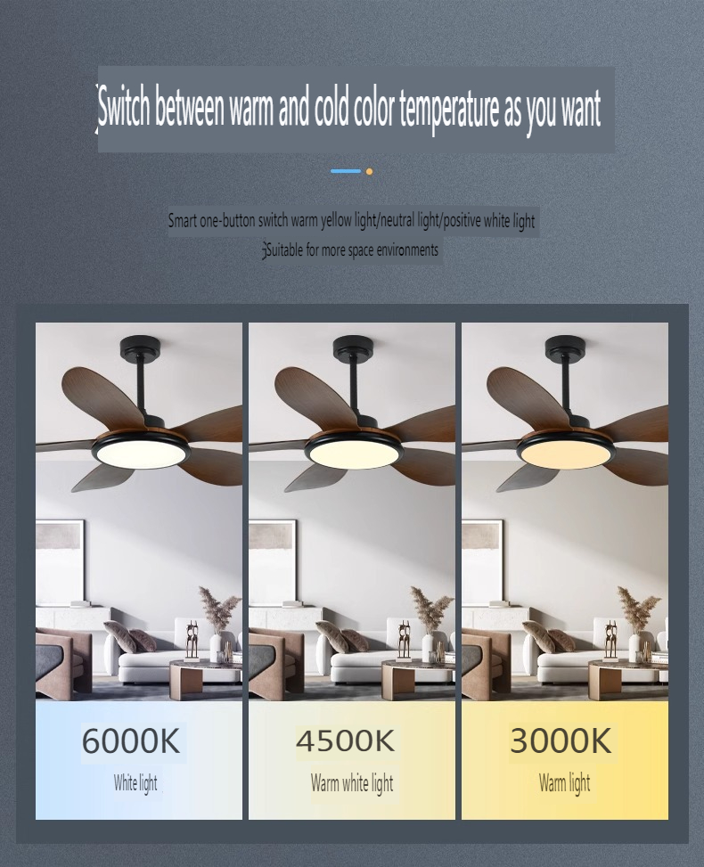  ABS Ceiling Fan Exporter