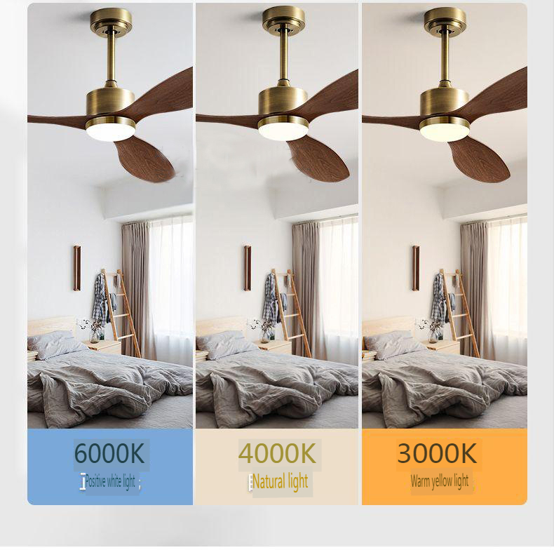 ABS Plastic Ceiling Fan Supplier
