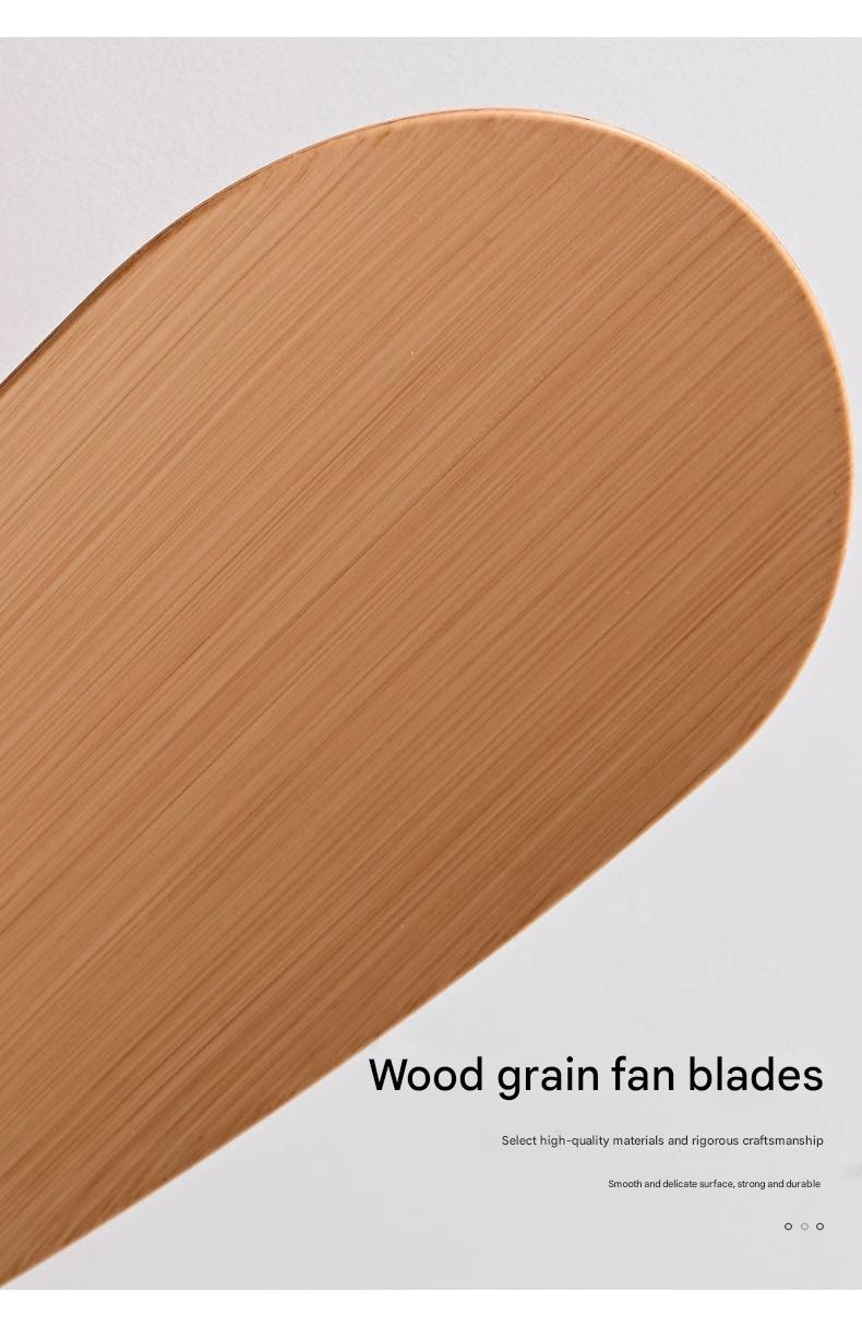 Premium DC Motor Fan