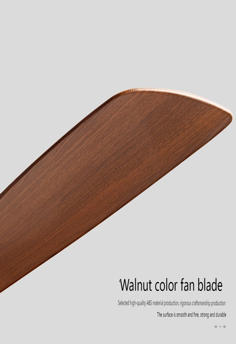 Value Efficient Ceiling Fan Producer
