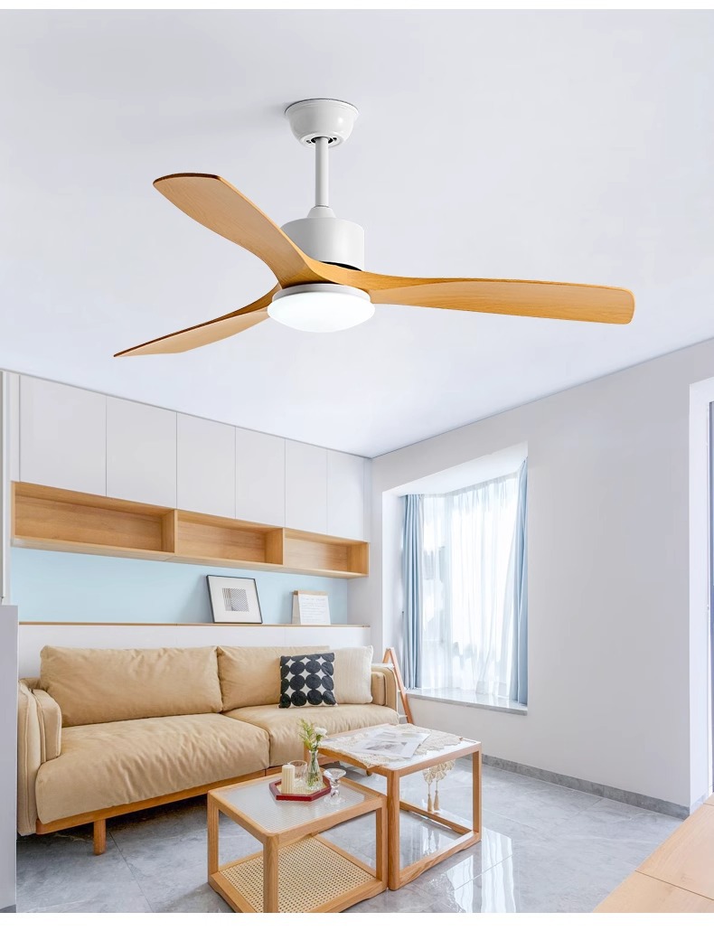 Value Efficient Ceiling Fan Producer