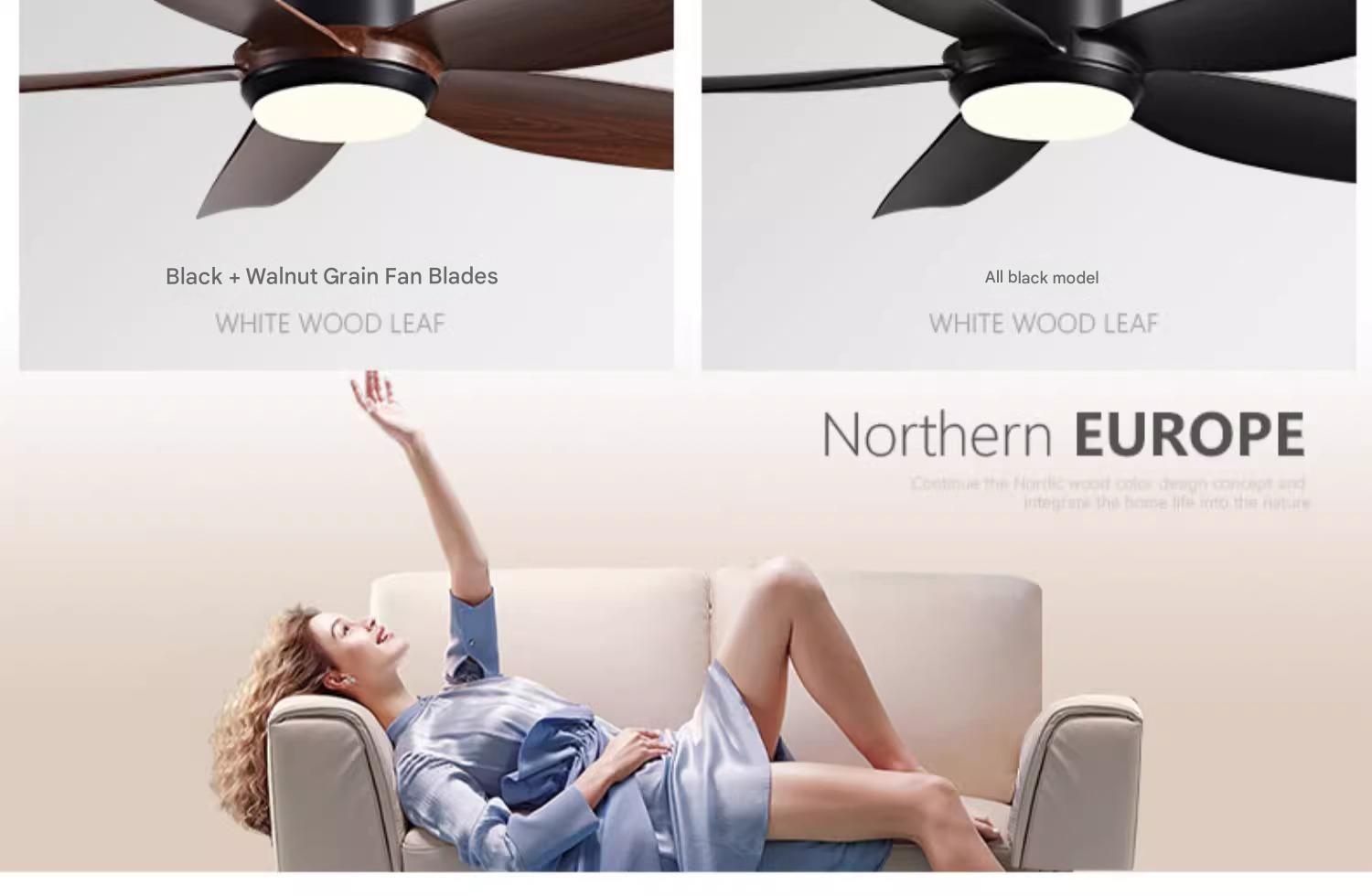 Designer Ceiling Fans