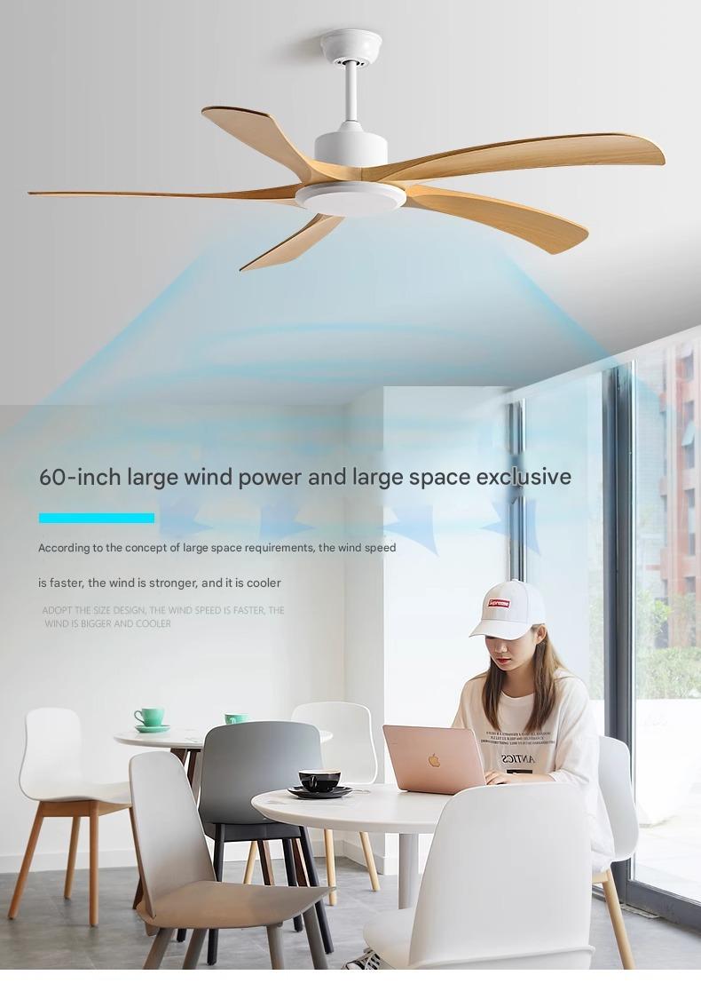 Smart Ceiling Fan