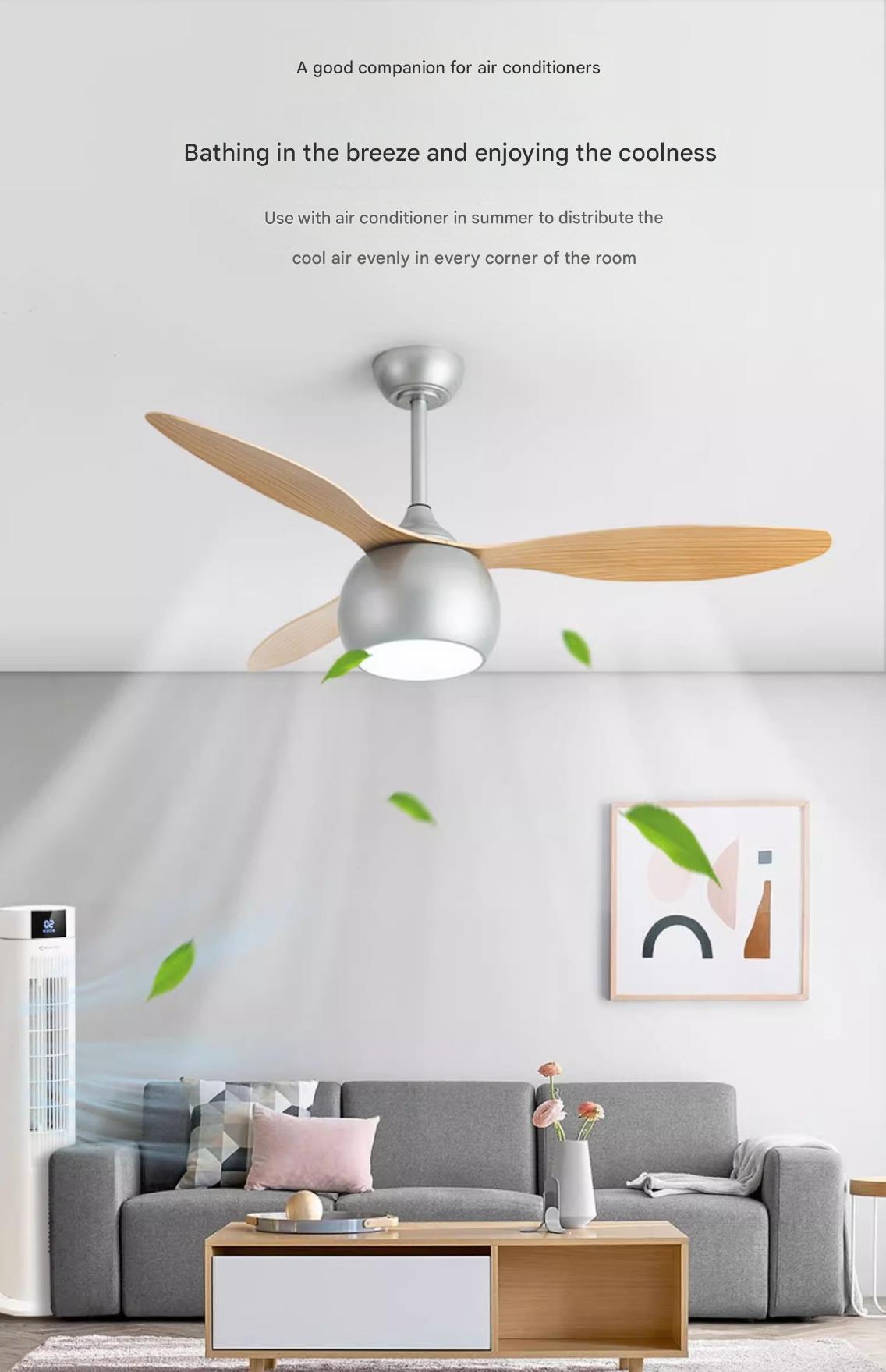 Quiet Bedroom Ceiling Fan