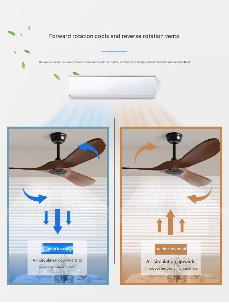 Modern Ceiling Fan