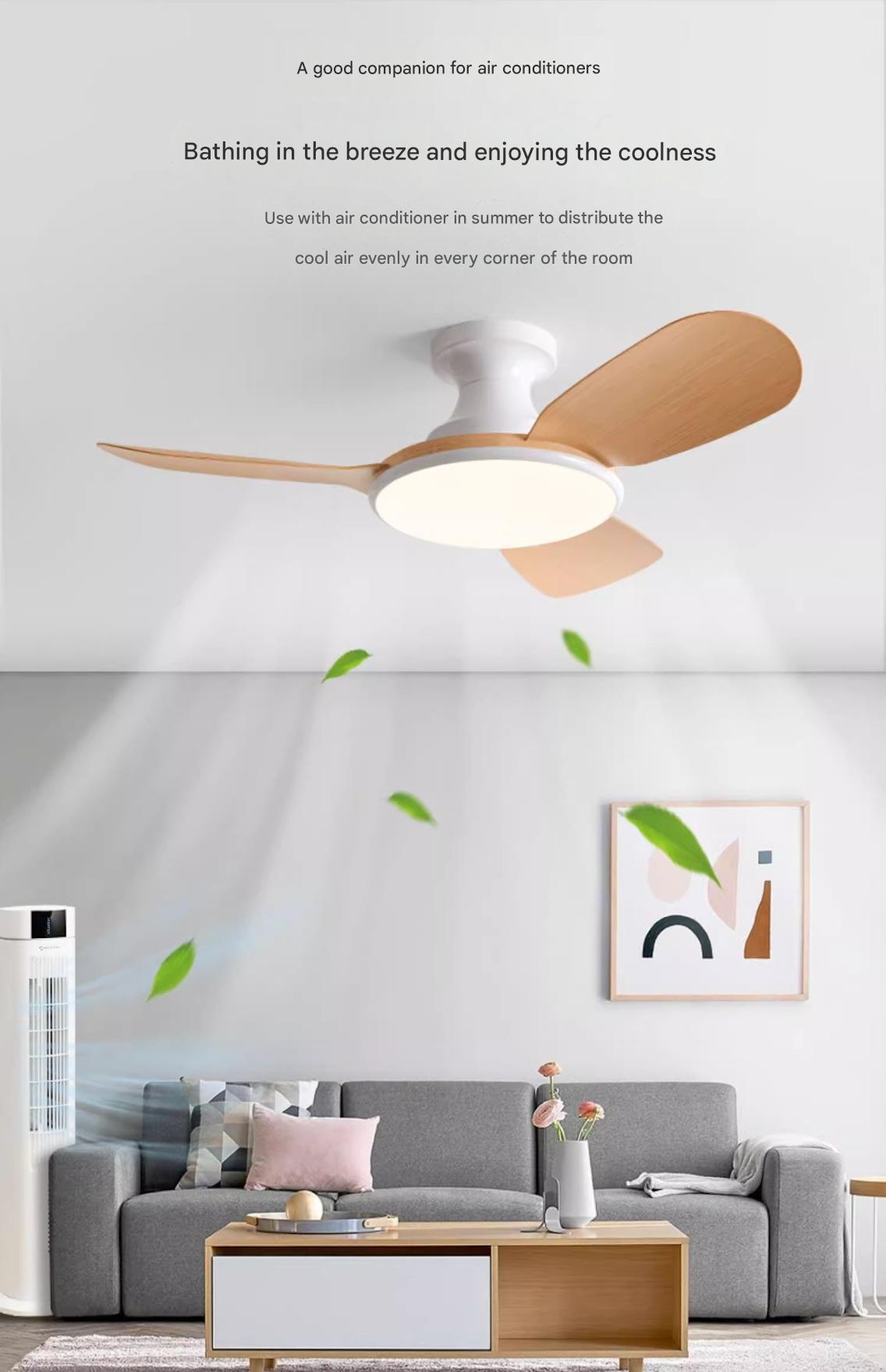 Ultra Quiet DC Ceiling Fan