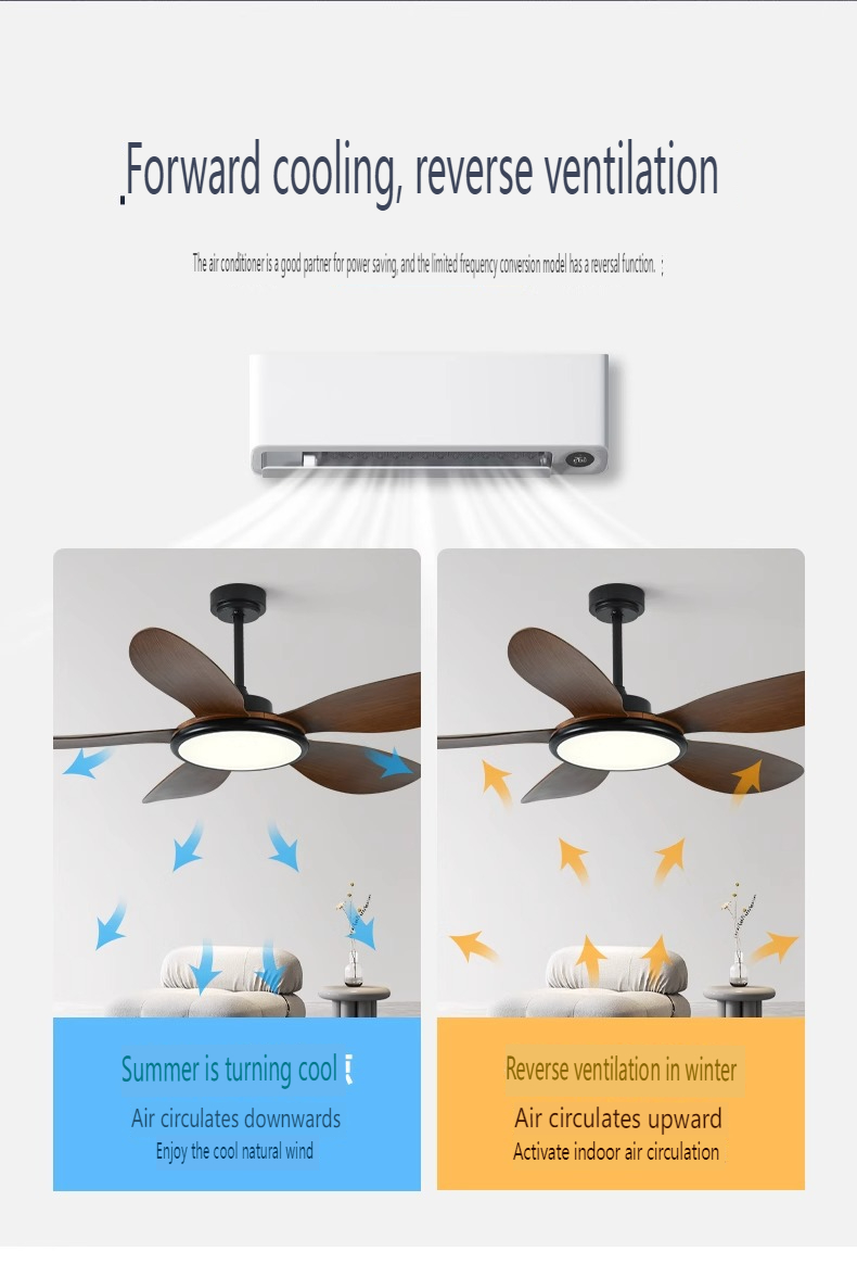 CE Certified Ceiling Fan