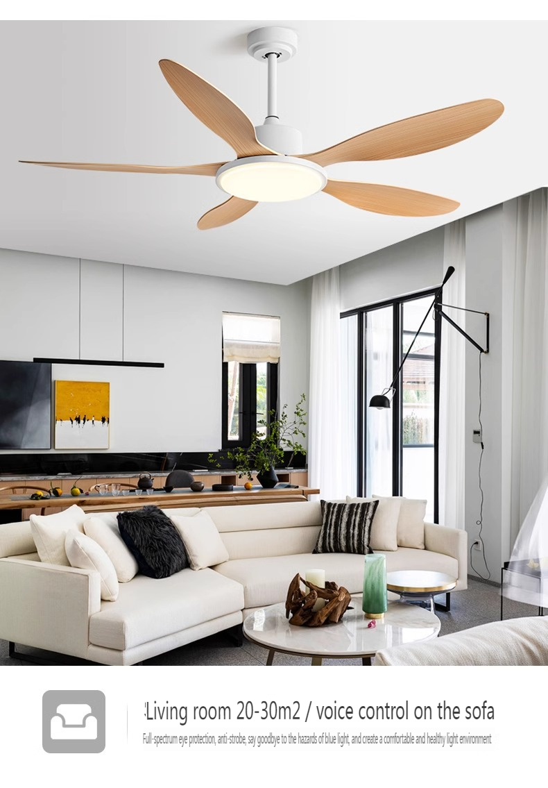 IP44 Ceiling Fan Supplier