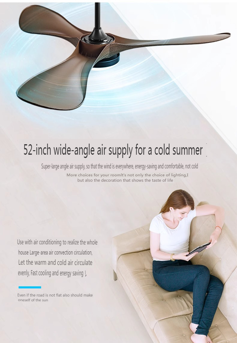 Modern Ceiling Fan with Light