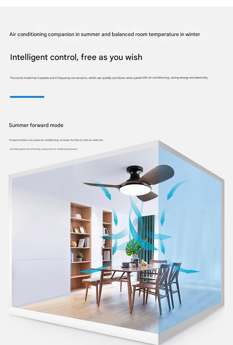 Ultra Quiet DC Ceiling Fan