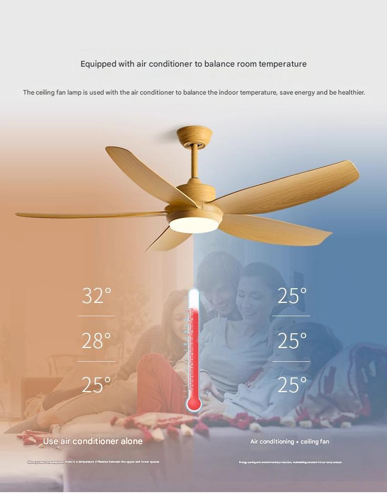 Designer Ceiling Fans