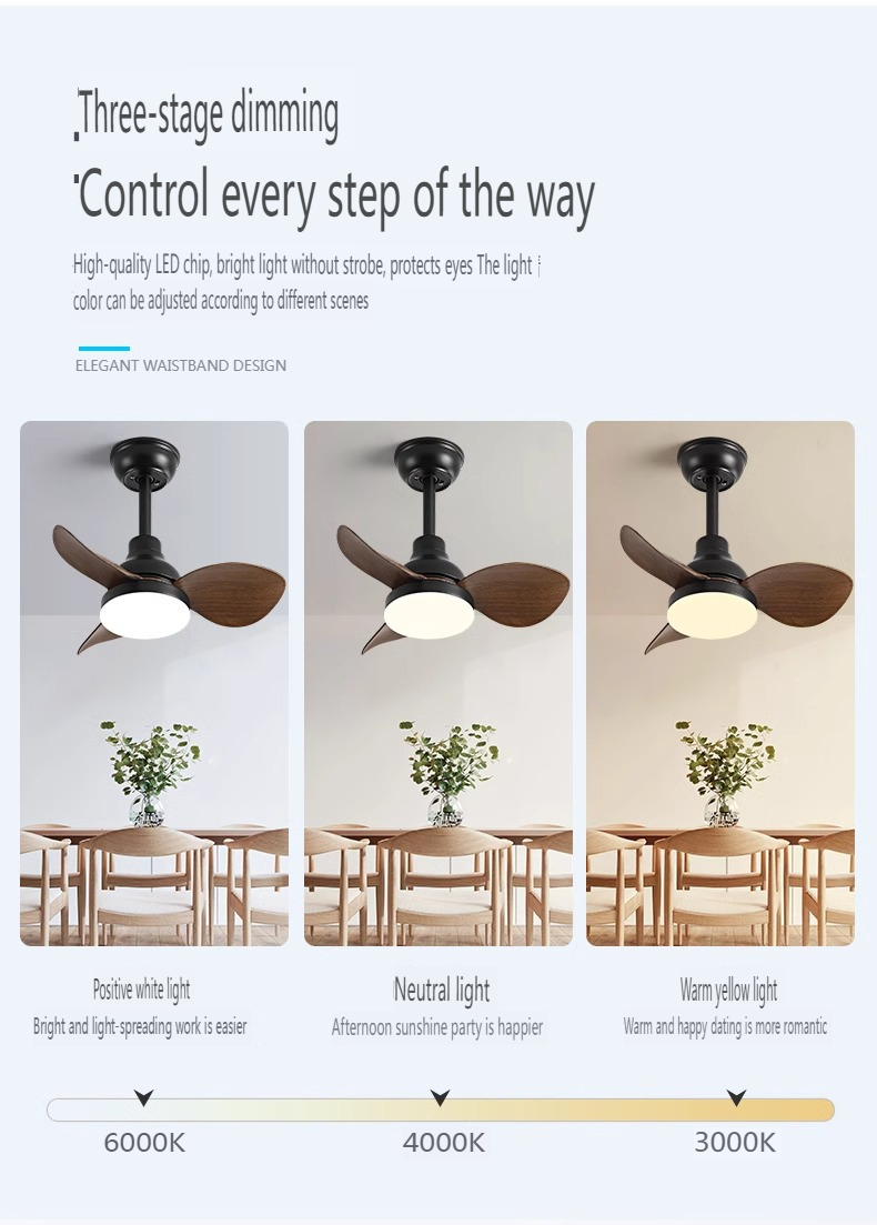 Ultra Quiet Ceiling Fan Supplier