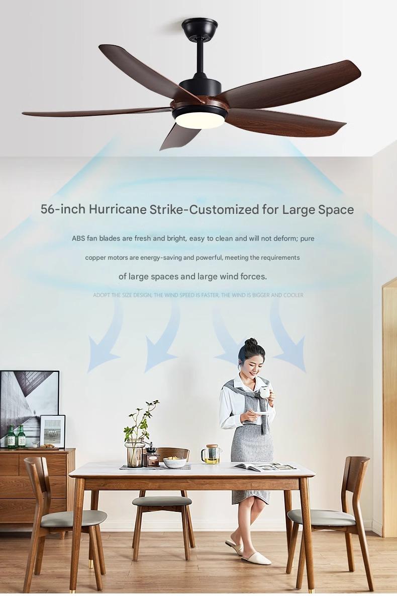 Designer Ceiling Fans