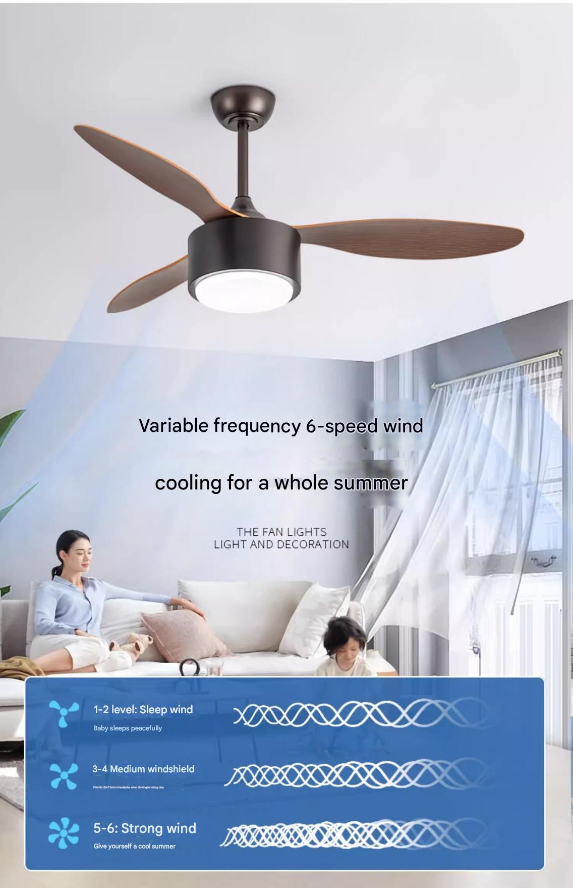 Noiseless Ceiling Fan