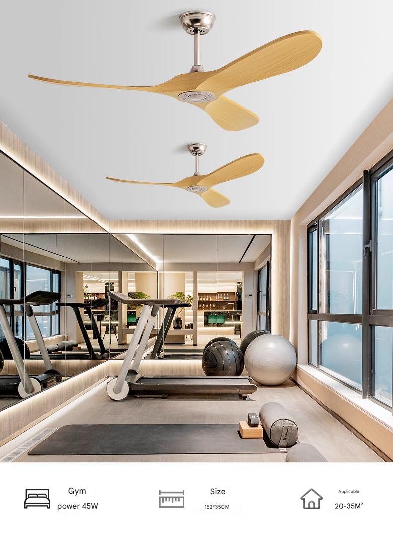 Living Room Fan