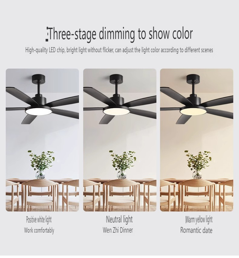Sea Shipping Ceiling Fan Manufacturer