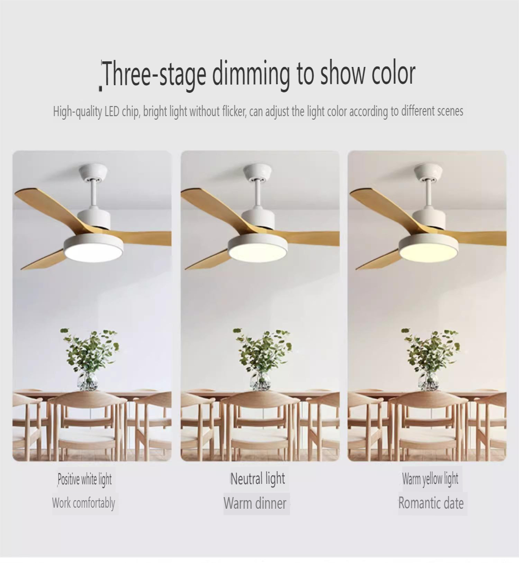 Bulk Ceiling Fan Supplier